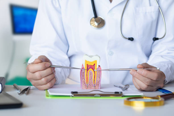 Best Emergency Dental Care for Broken or Chipped Teeth in Yellow Springs, OH